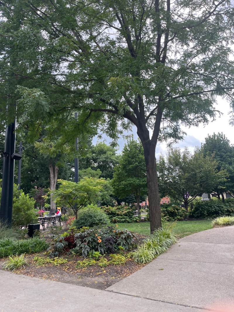 walking near me in Washington Park in summer