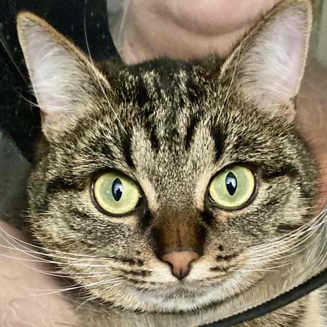 Laufliebe🩷🙏🏻🌸🌸🌸 Анастасия 🤍💙♥️ post image