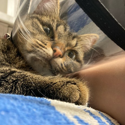 Laufliebe🩷🙏🏻🌸🌸🌸 Анастасия 🤍💙♥️ post image