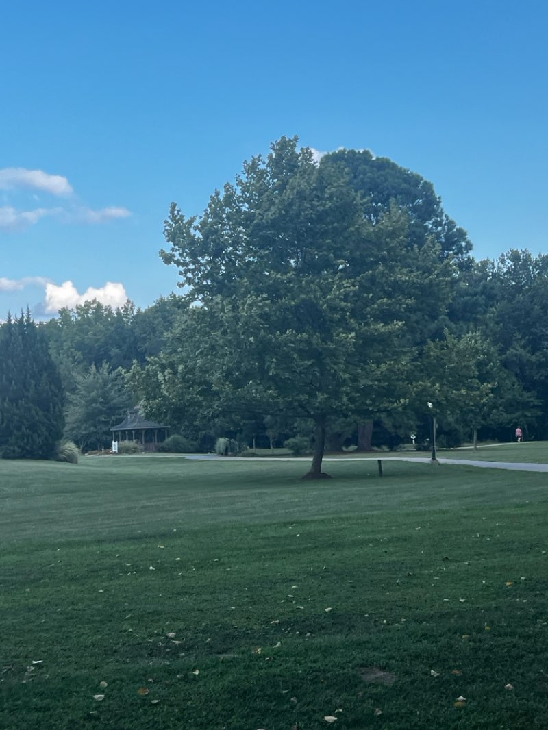 walking near me in Washington Park in winter