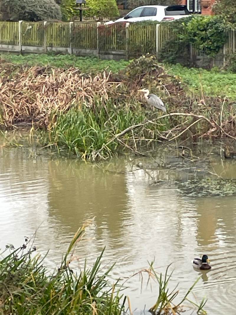 walking near me in Wolverton Mill Balancing Lake in winter