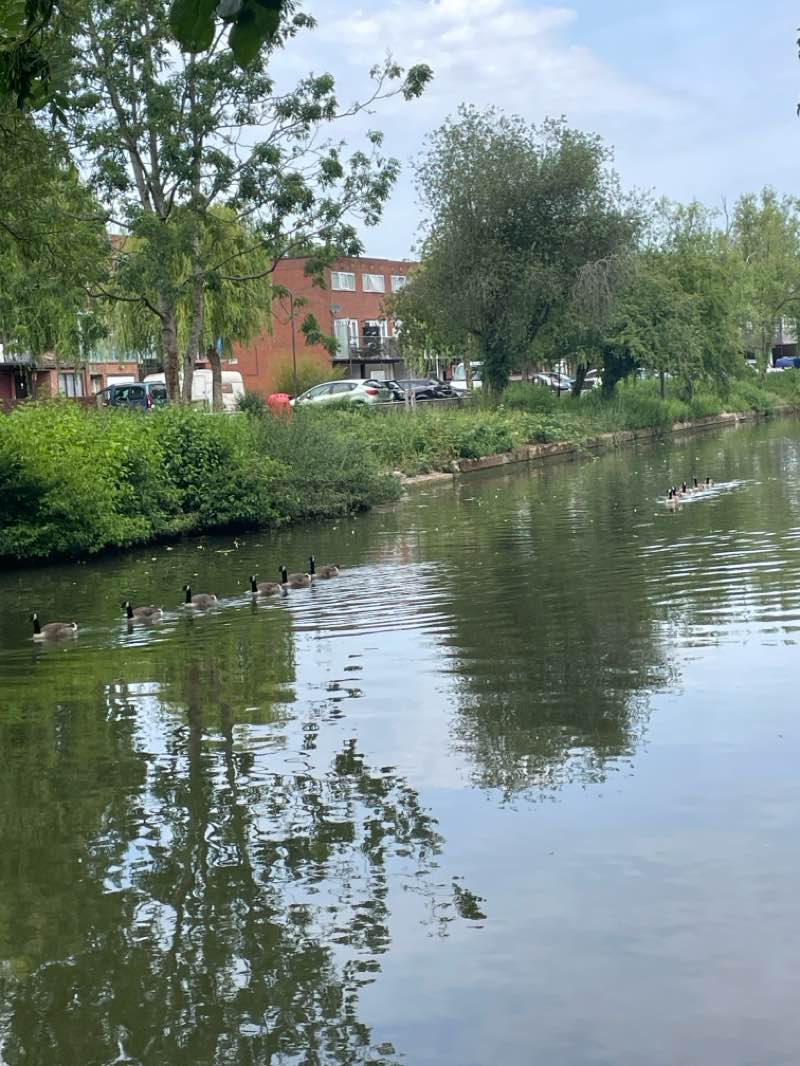 walking near me in Canal Open Space in summer