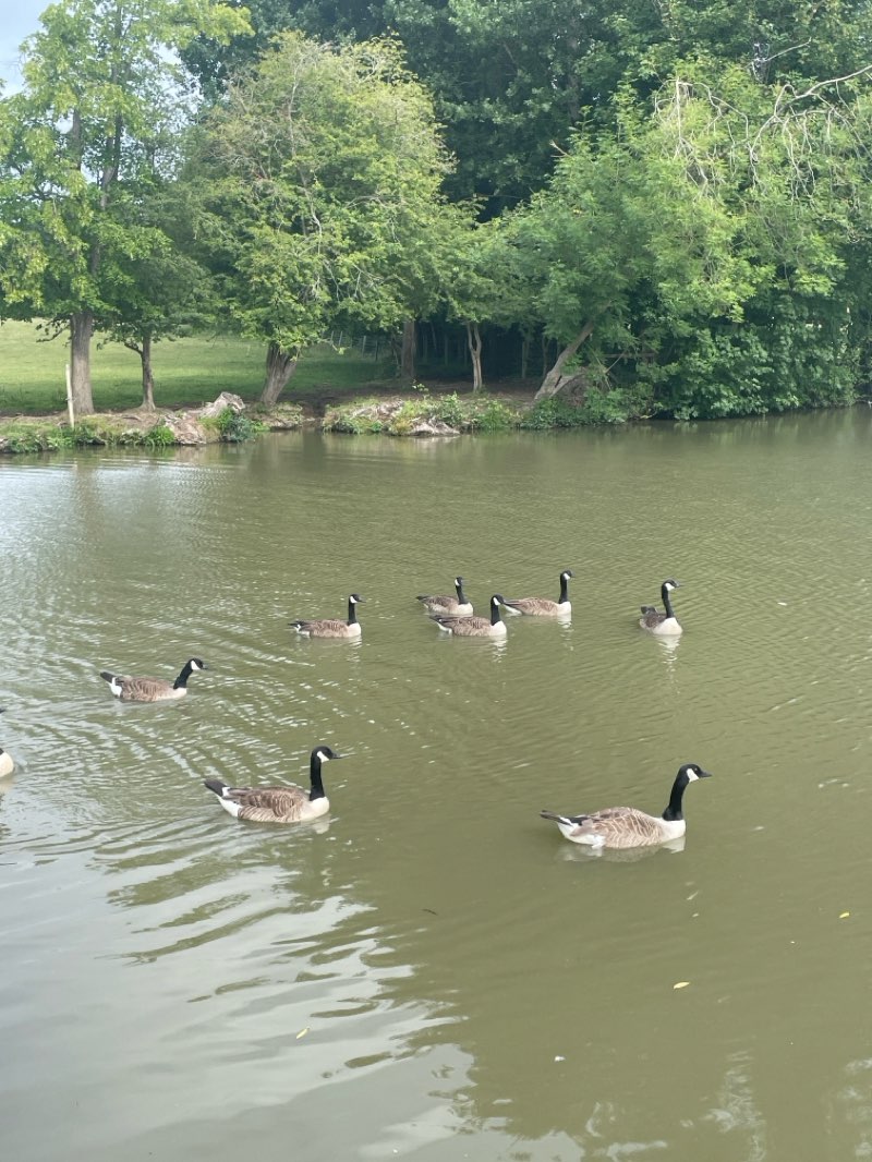 walking near me in Ouse Valley Park in summer