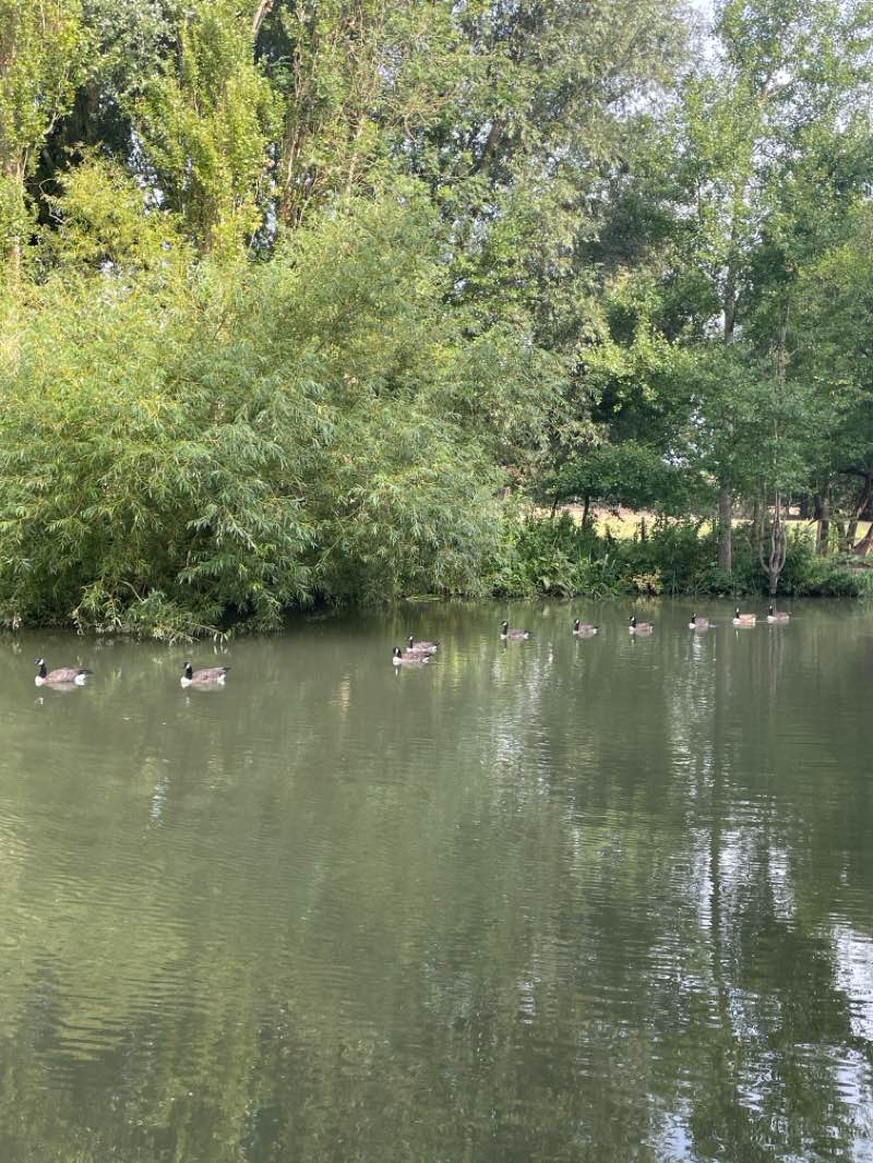 walking near me in Ouse Valley Park in autumn