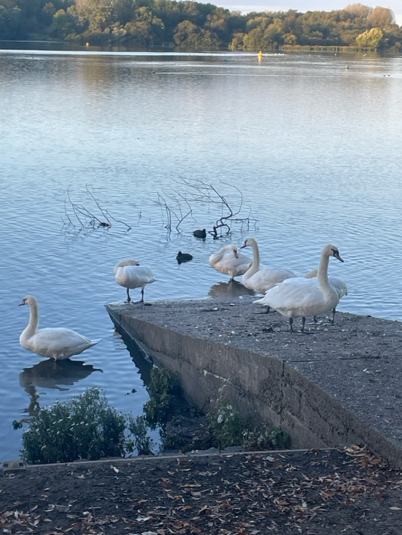 walking near me in Pennington Hall Park in autumn