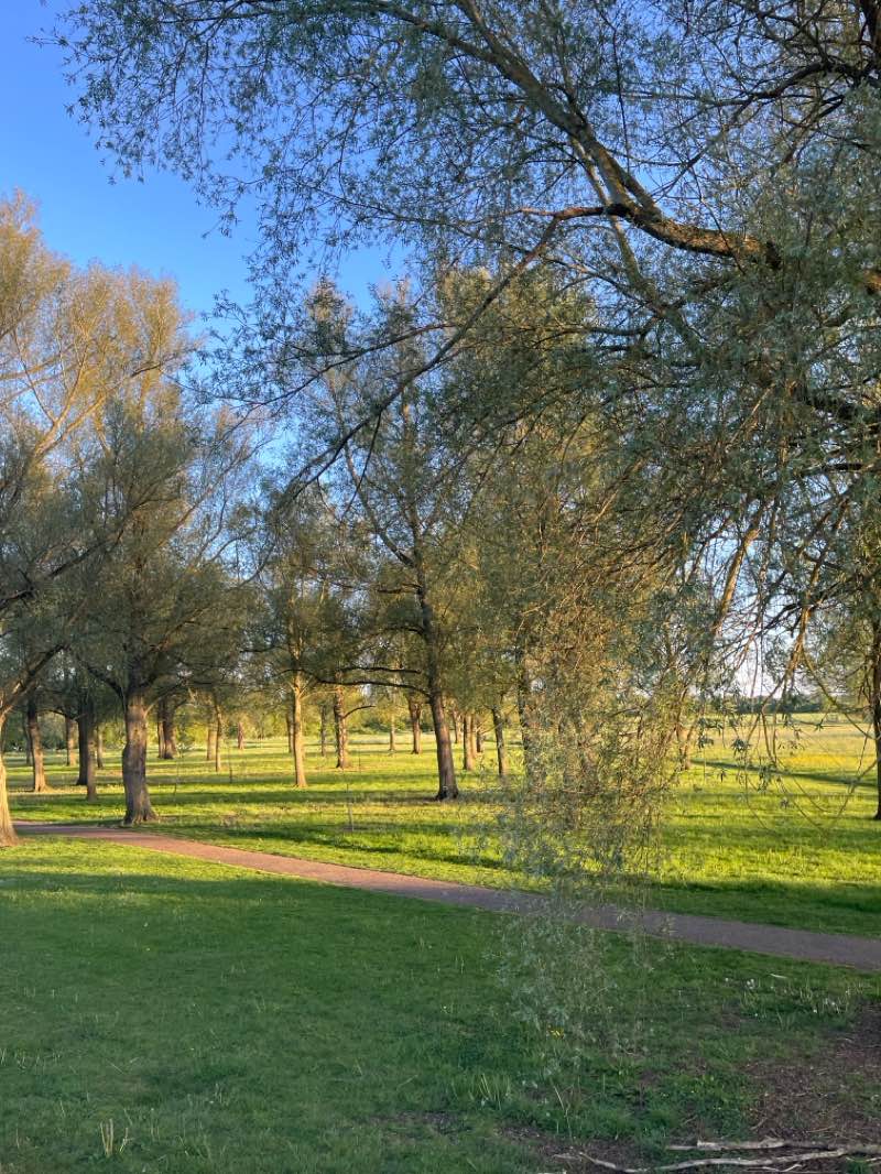 walking near me in Ouse Valley Park in spring