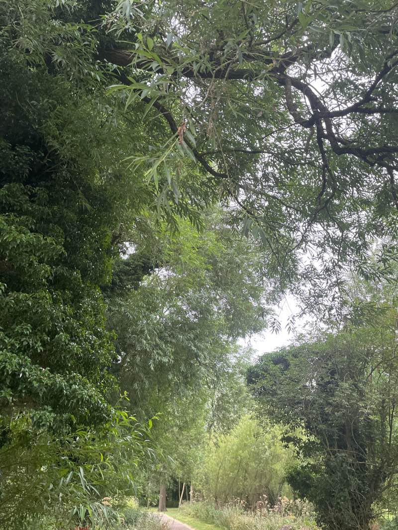 walking near me in Ouse Valley Park in summer
