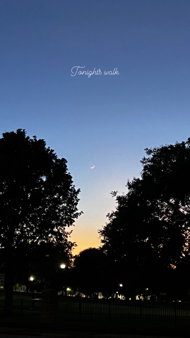 walking near me in Barnet Park in winter