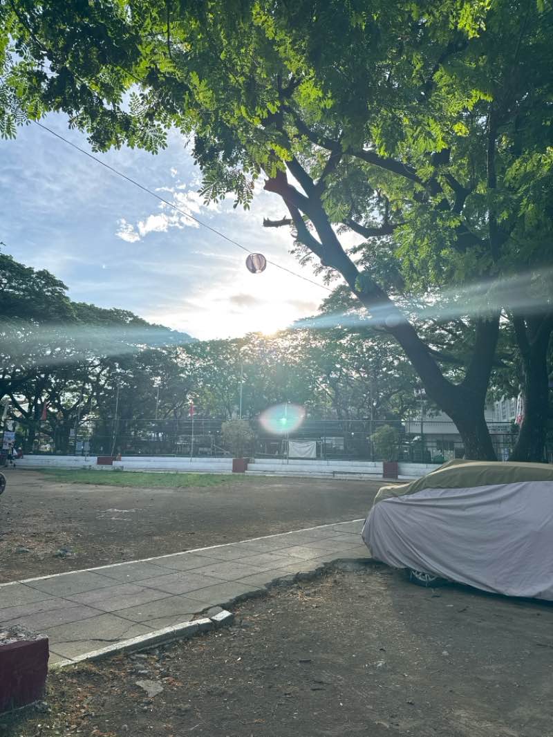 walking near me in Bloomingdale Public Park in spring