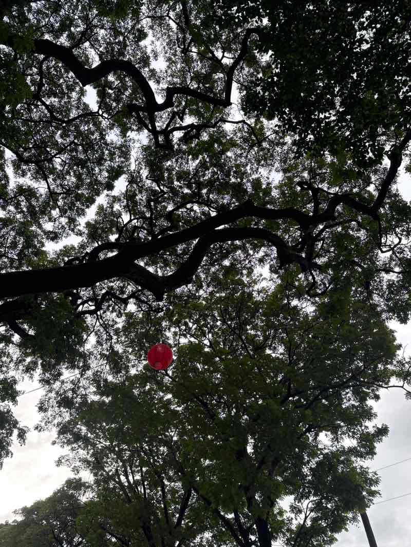 walking near me in Bloomingdale Public Park in winter
