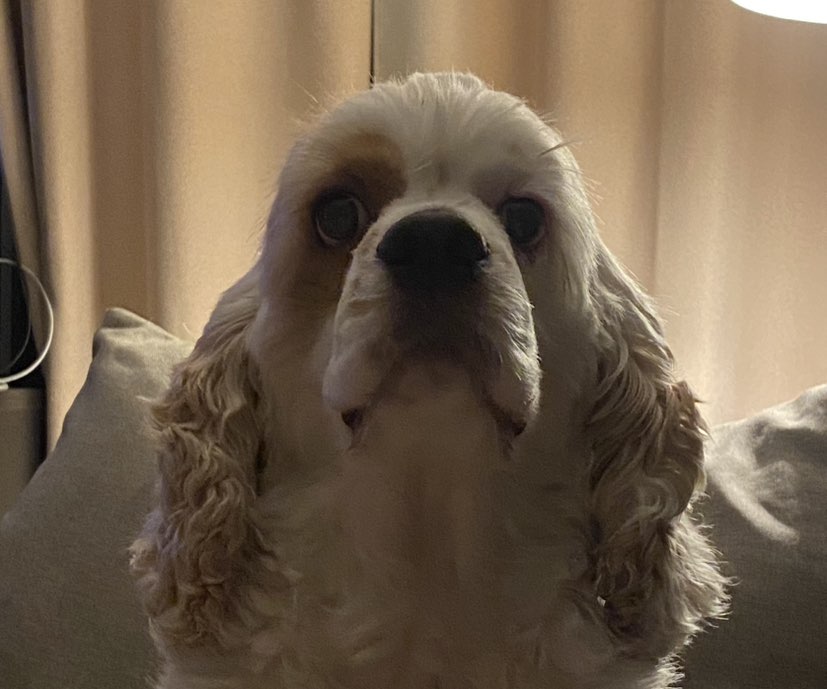 Пупурёнок🇷🇺