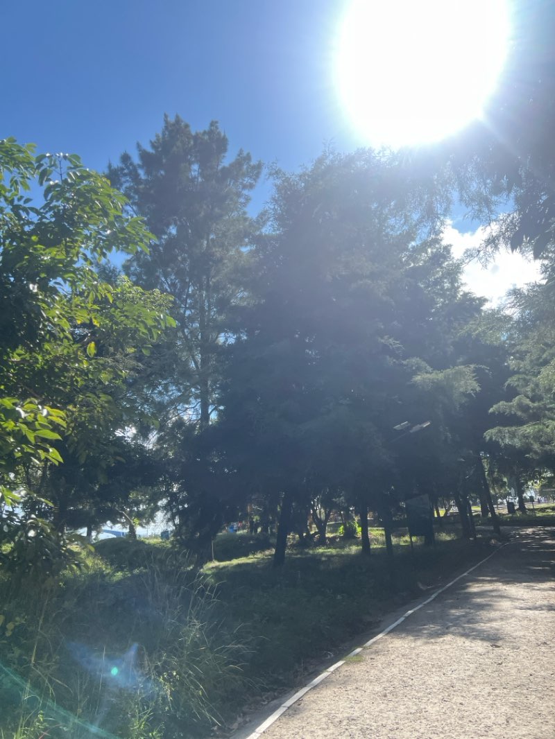 walking near me in Parque Erick Barrondo in autumn