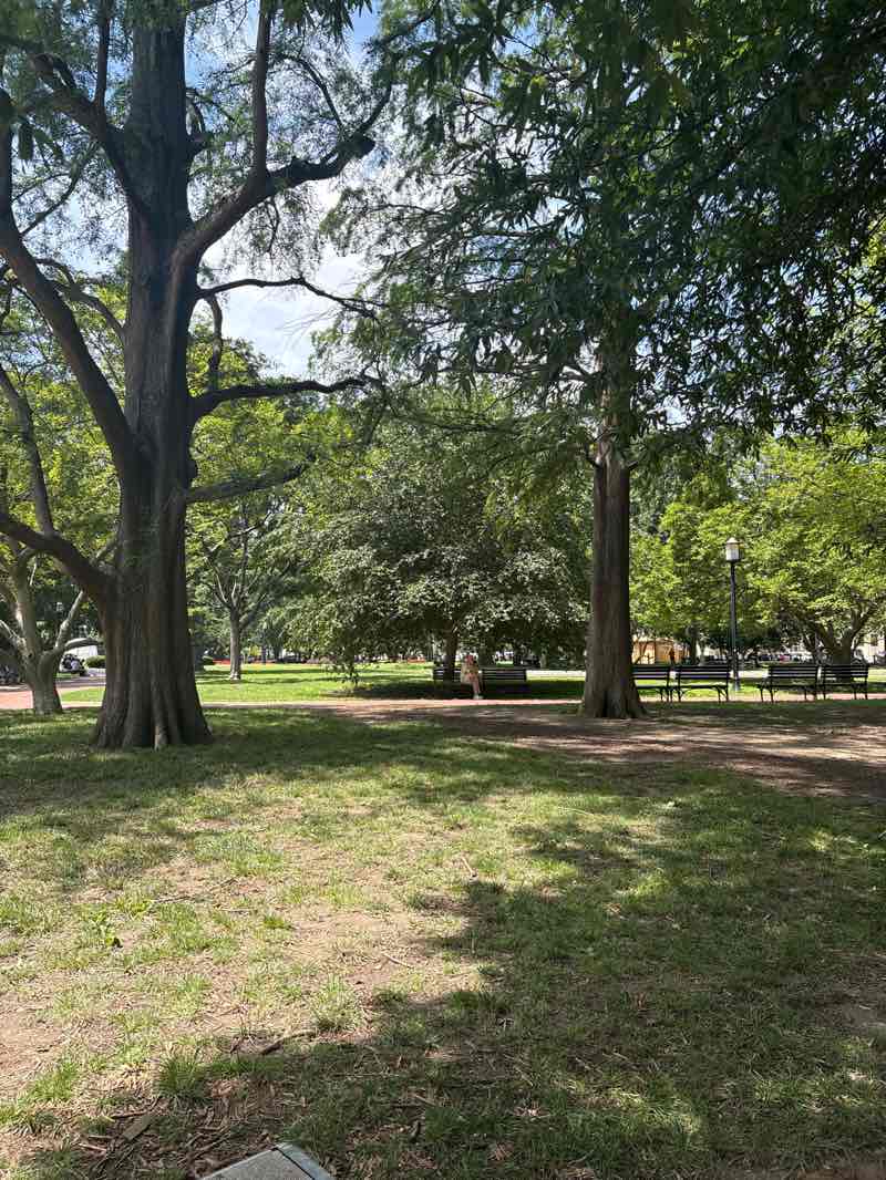 walking near me in Lafayette Square in summer
