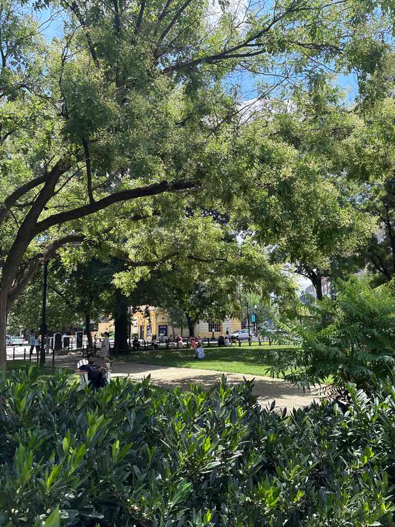 walking near me in Dupont Circle in autumn