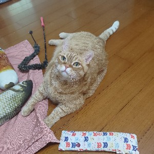 participant 0