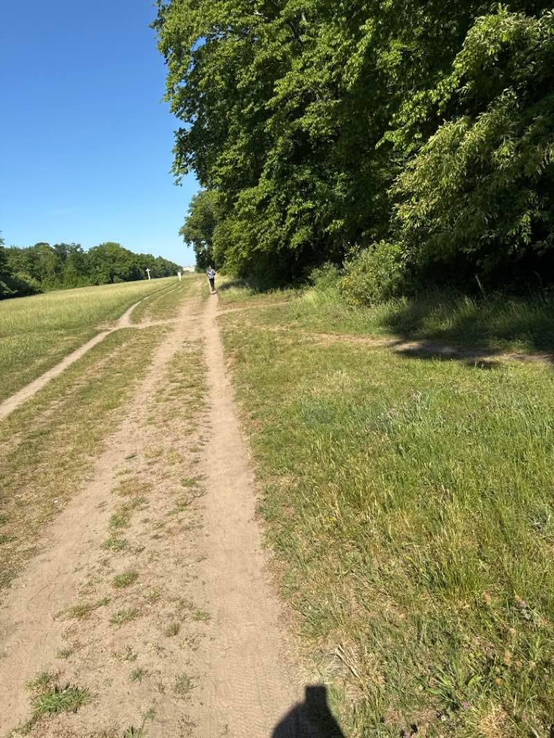 walking near me in Grand Parc in spring