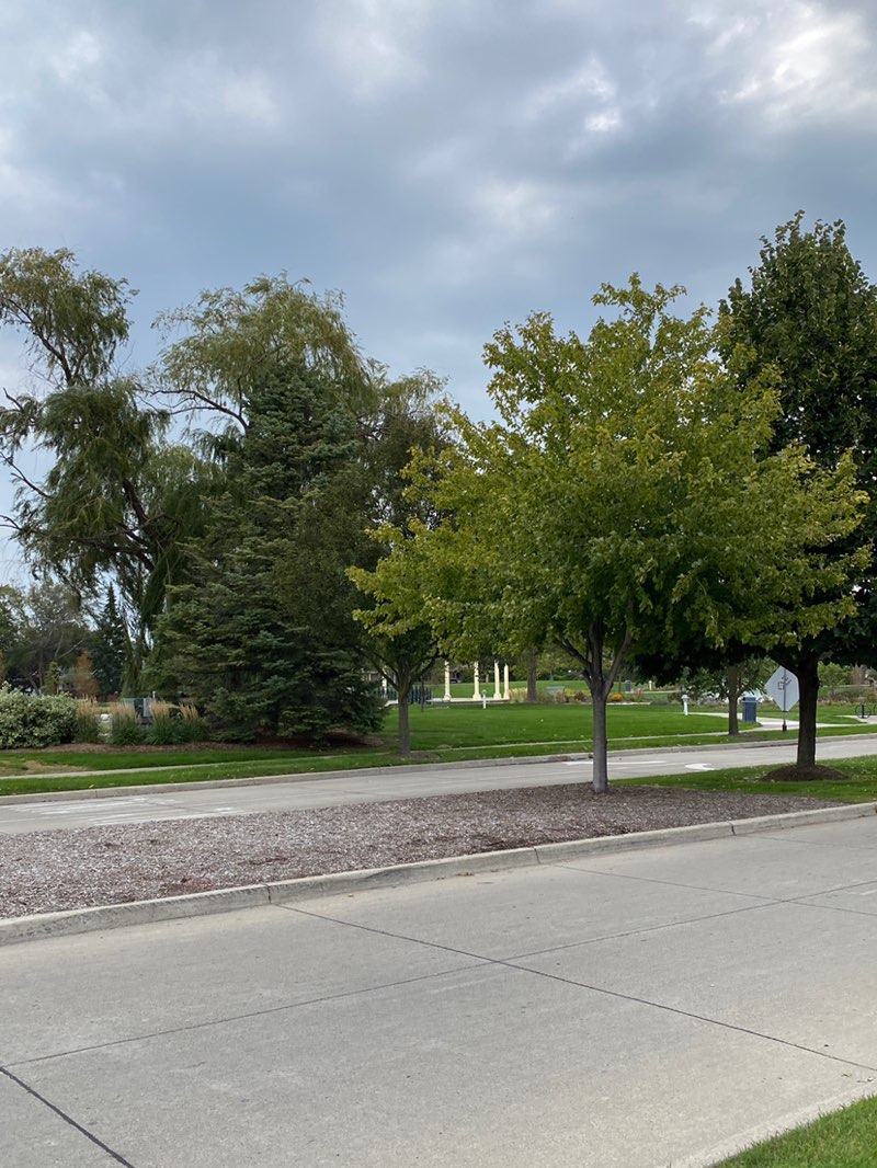 walking near me in Wahby Park in autumn