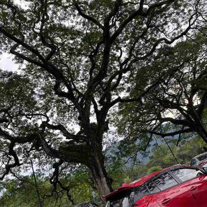 Puan Nurrul Iza post 1