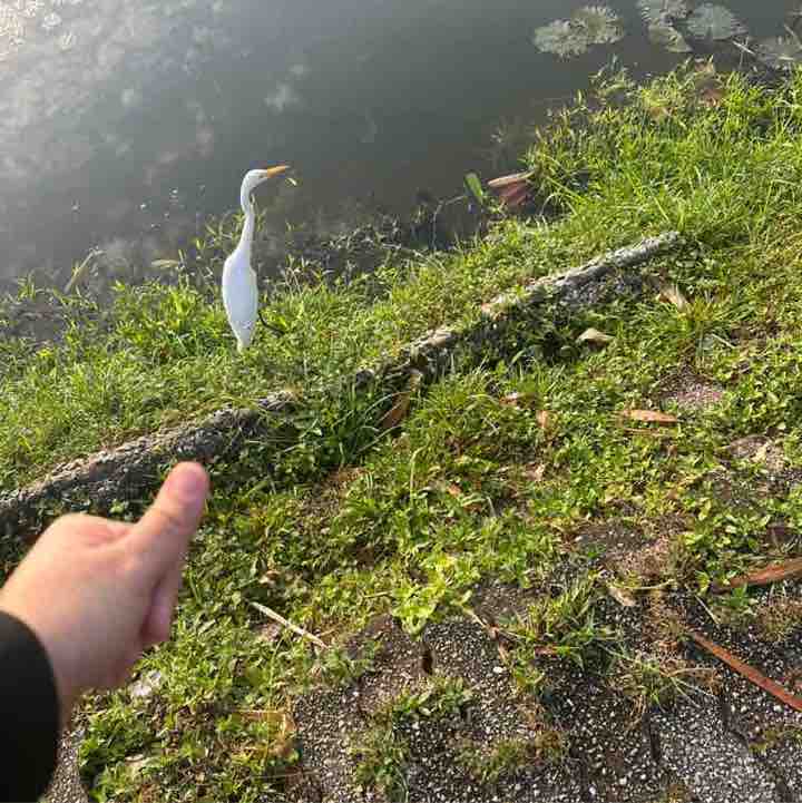 Puan Nurrul Iza post 1