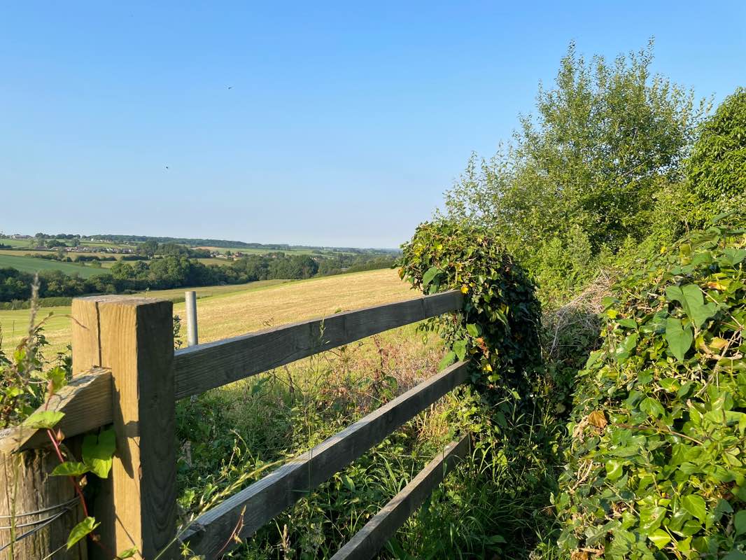walking near me in Lambley Lane Recreation Ground (North) in winter
