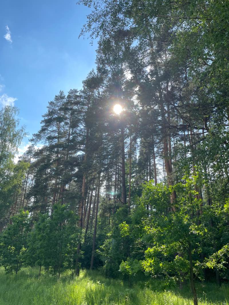 walking near me in Pils parks in winter