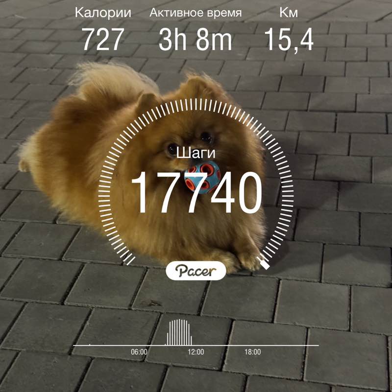 Омичи! Шажочки-дружочки Назгуль post image