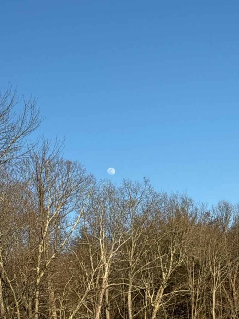 walking near me in Oxbow National Wildlife Refuge in spring