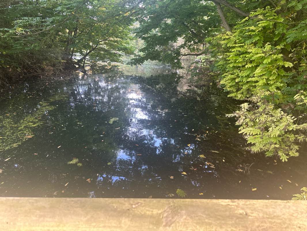 walking near me in Mount Farm Park in autumn