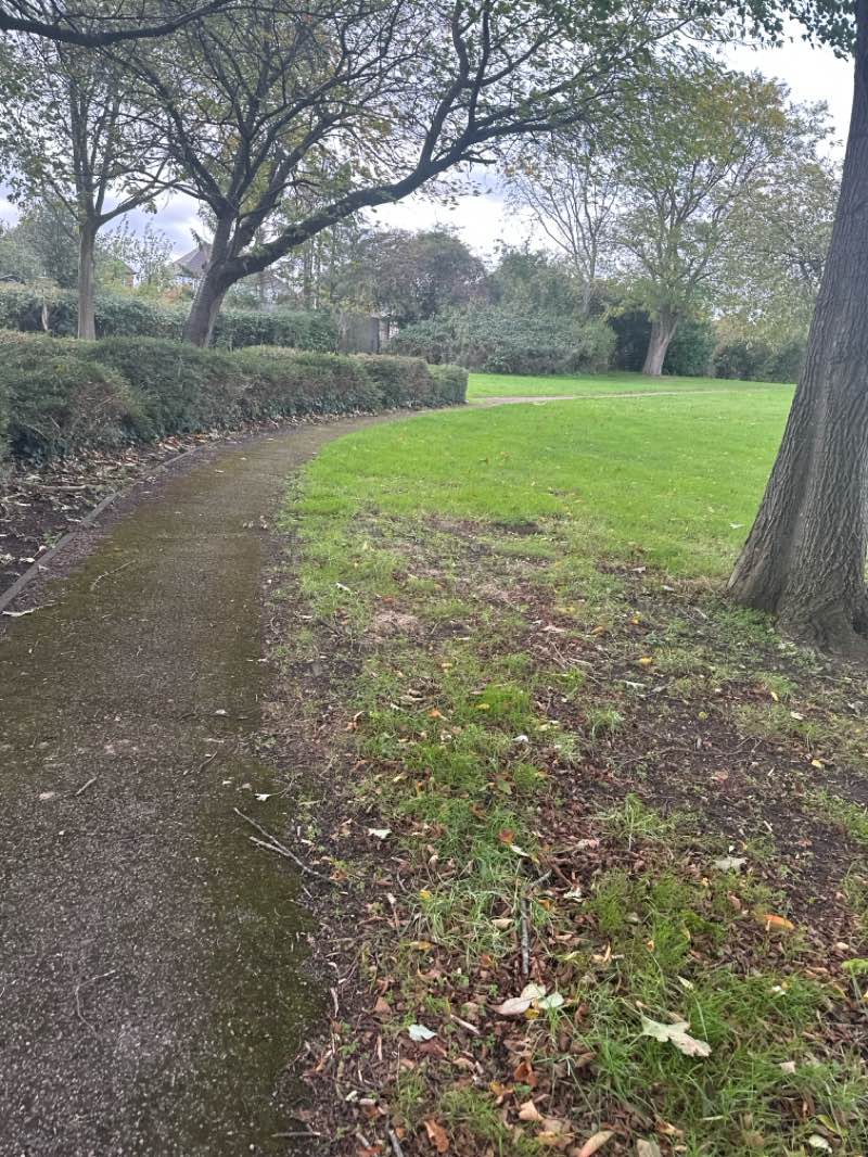 walking near me in Eight Belles Park in autumn
