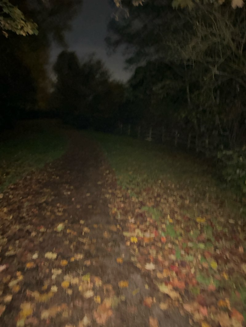 walking near me in Loughton Valley Linear Park in autumn