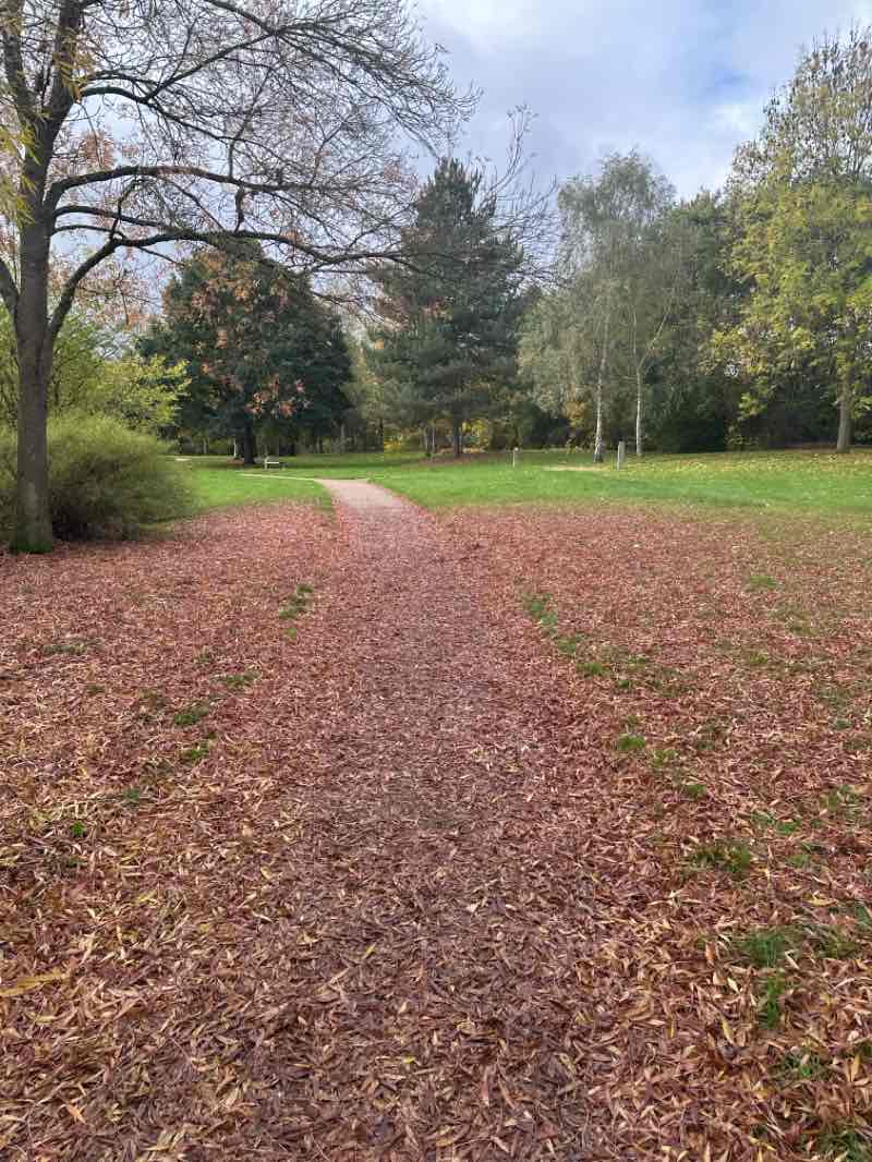 walking near me in Tattenhoe Valley Park in autumn