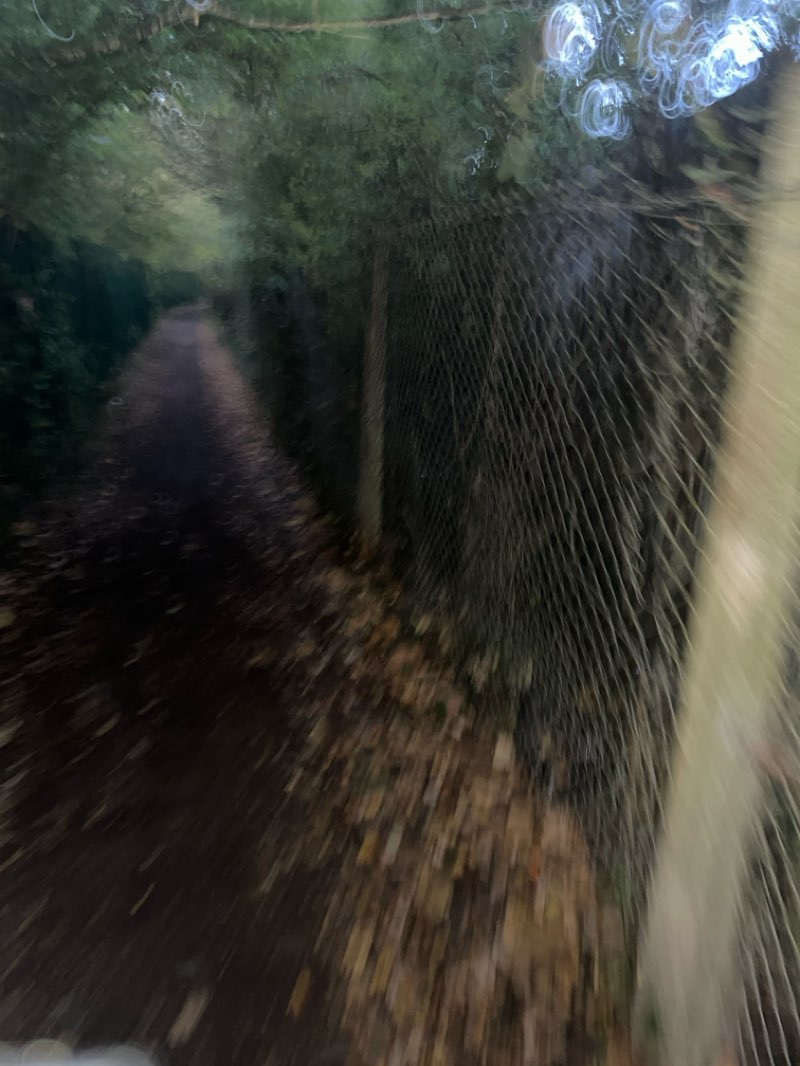 walking near me in The Green in autumn