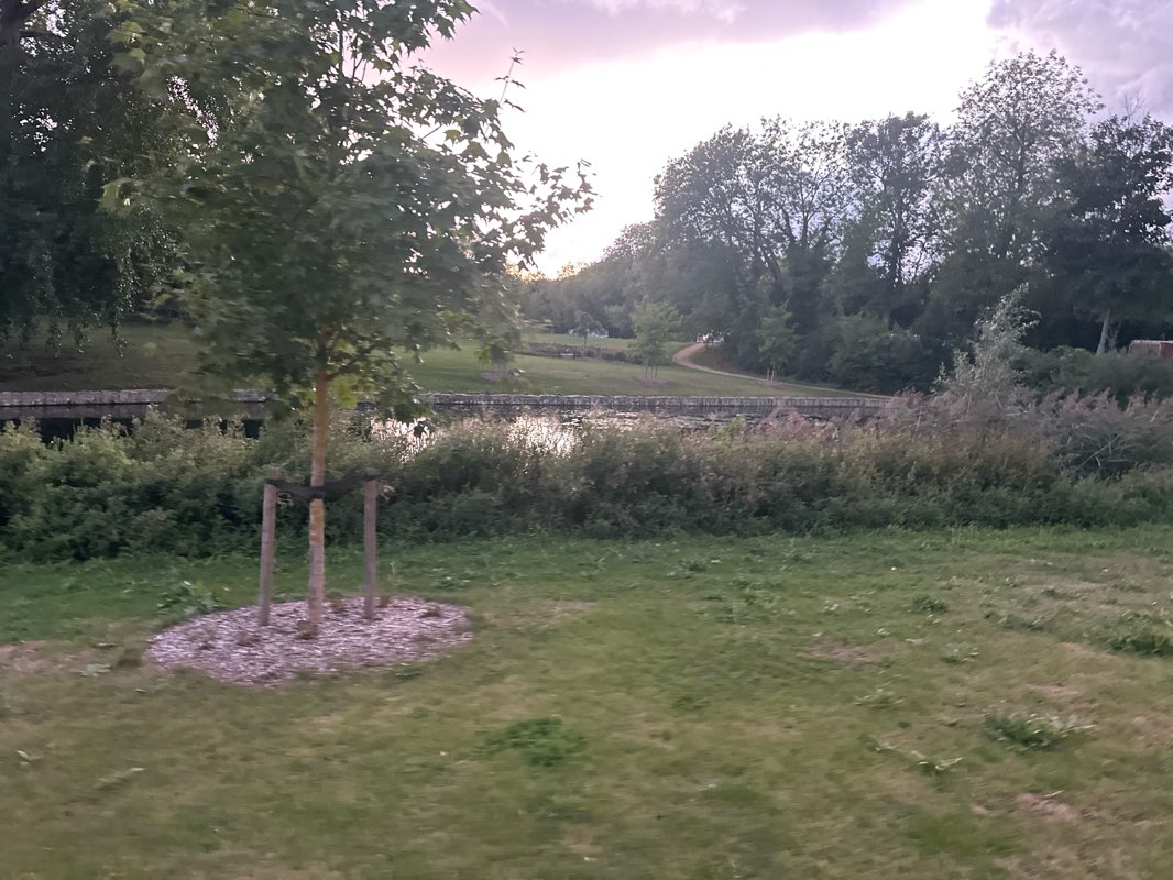 walking near me in Great Linford Manor Park in autumn