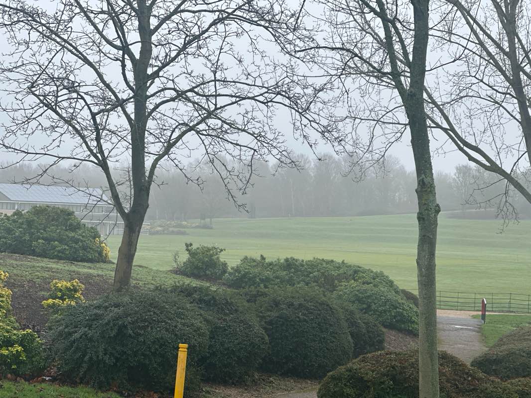 walking near me in Great Linford Park in winter
