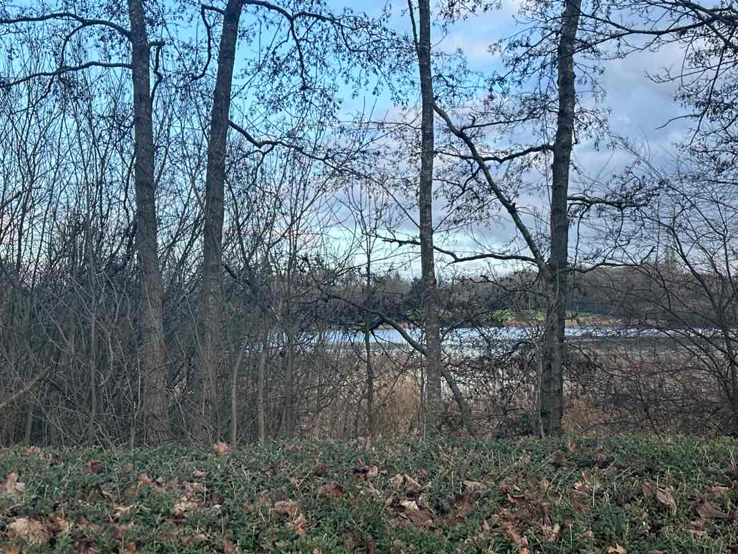 walking near me in Mount Farm Park in winter