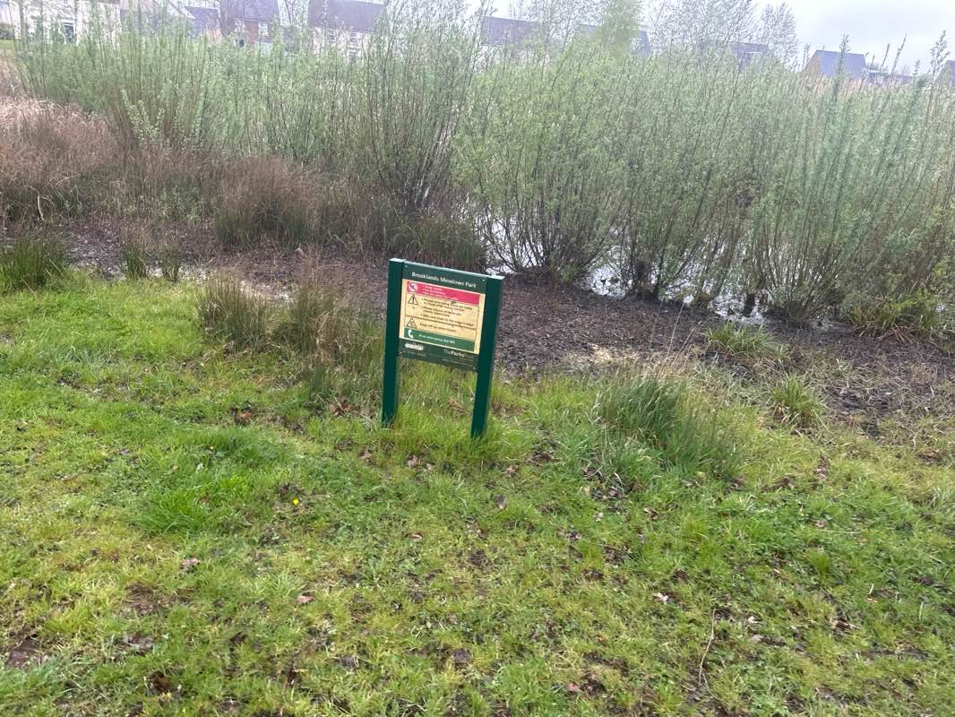 walking near me in Mauretania way Park & Lake in spring