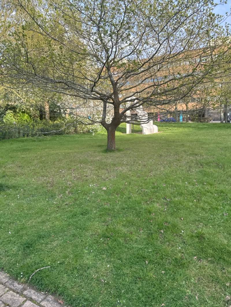 walking near me in Fred Roche Gardens in spring