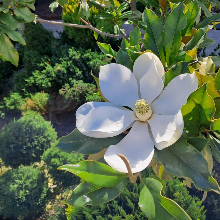 Галина profile