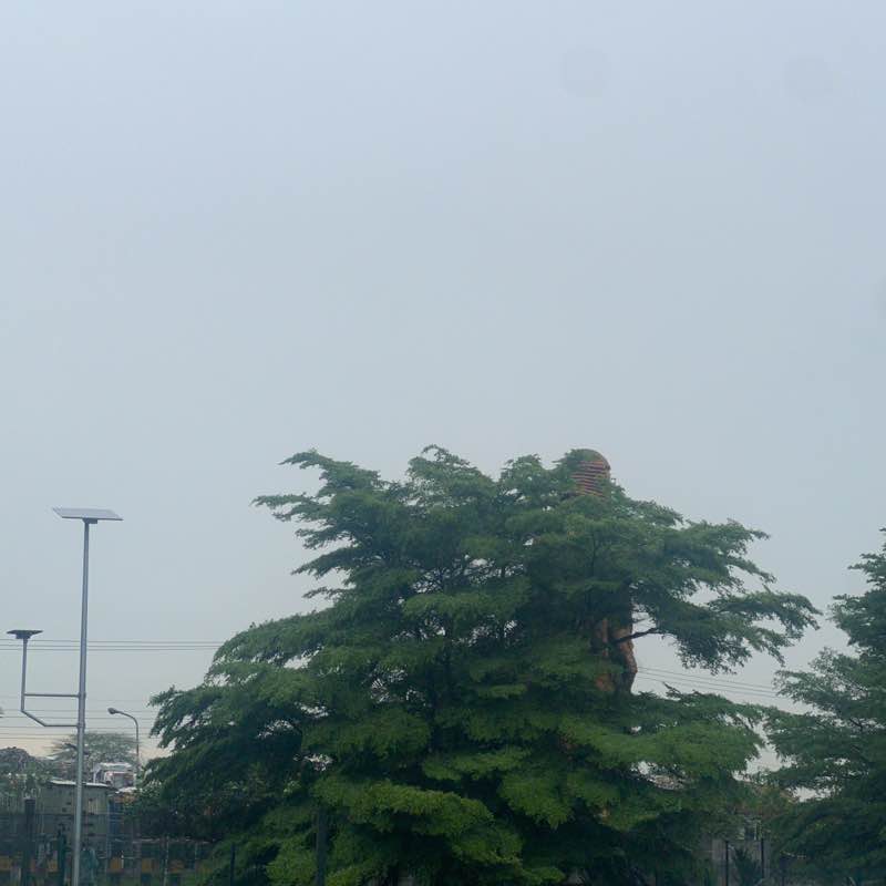 Oreoluwa post 1