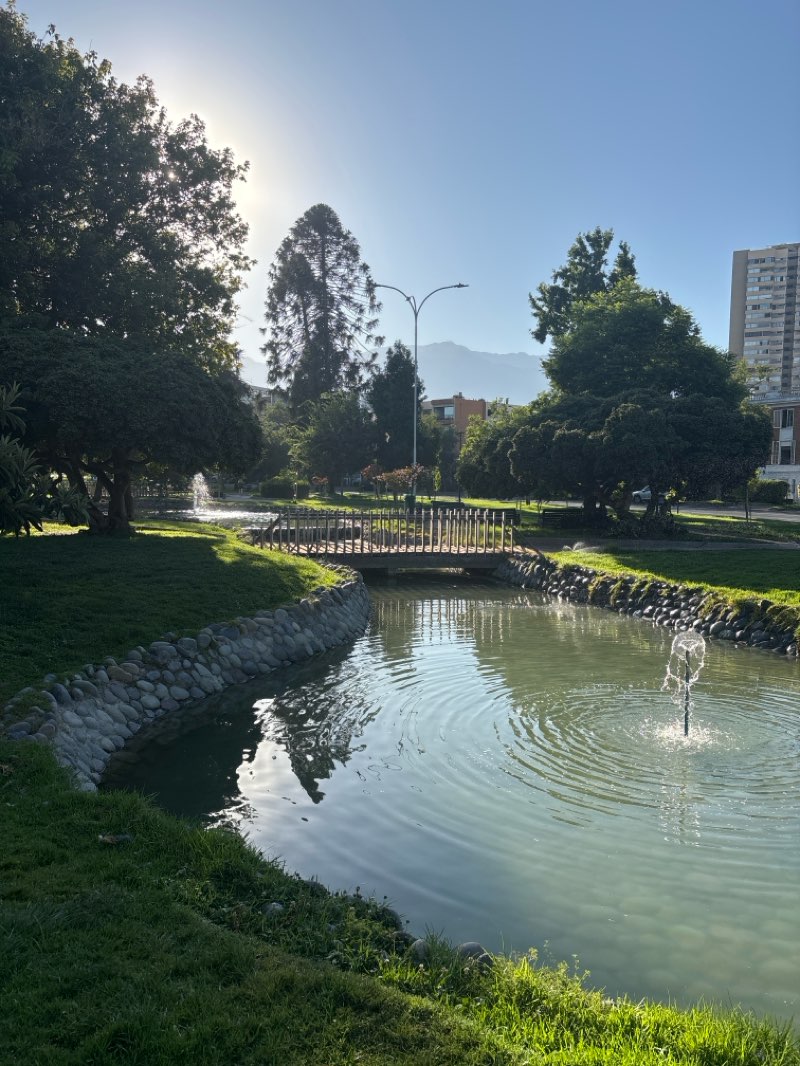 walking near me in Plaza Río de Janeiro in summer