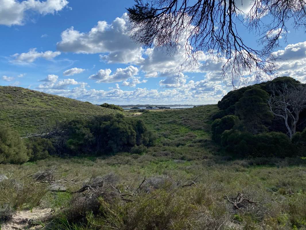 walking near me in Rottnest Island State Reserve in summer