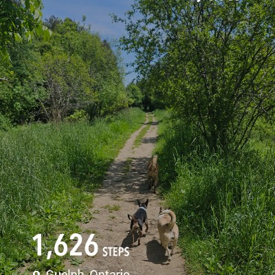 sherri0319 post 1