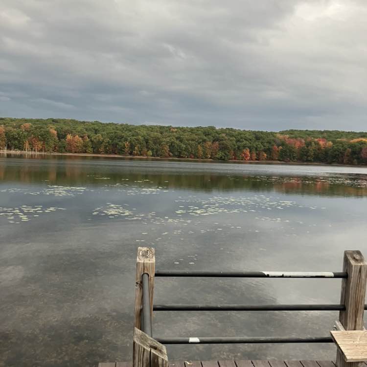 Dave Gallmeier post 2