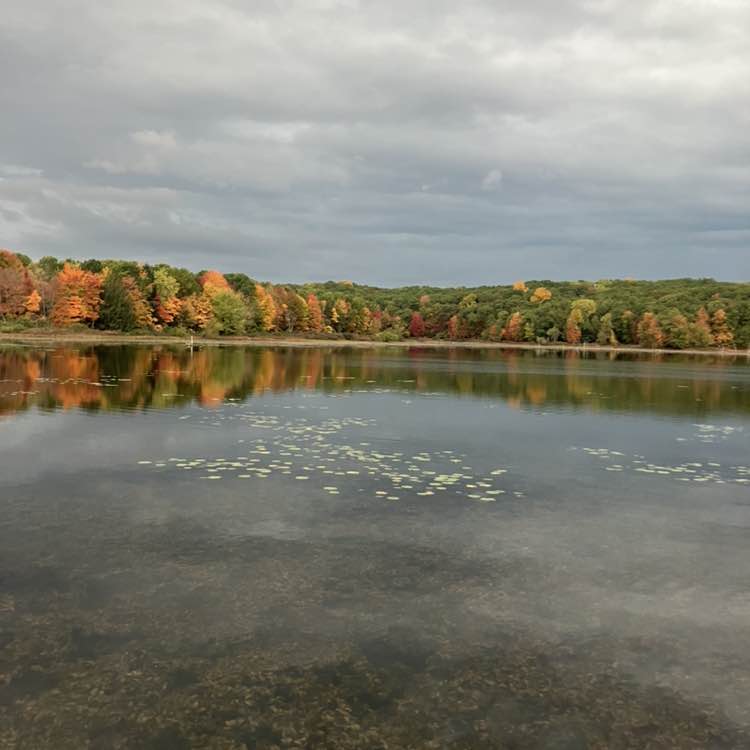 Dave Gallmeier post 3