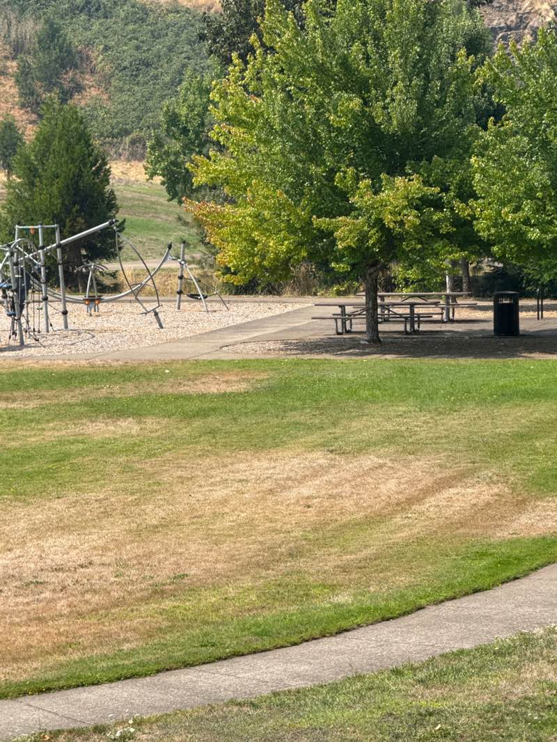 walking near me in Rob Adams Park in summer