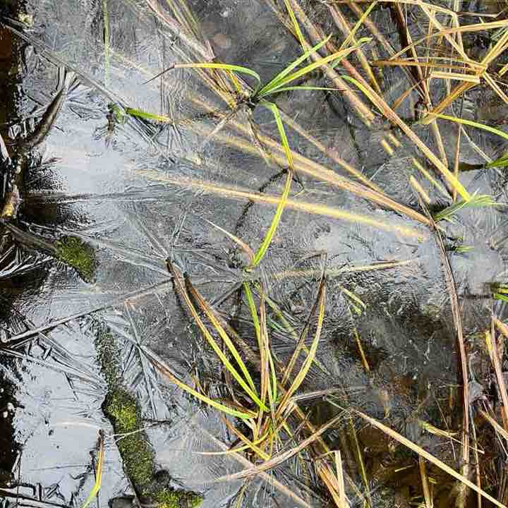 🔥 ДерZкие и Шальные🔥 Olga Pyrieva🇷🇺 post image