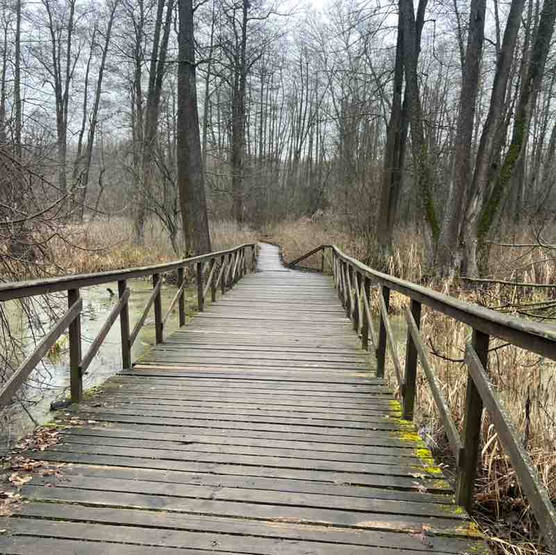 🔥 ДерZкие и Шальные🔥 Olga Pyrieva🇷🇺 post image