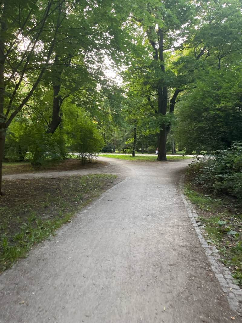 walking near me in Park im. ks. bp. Michała Klepacza in autumn