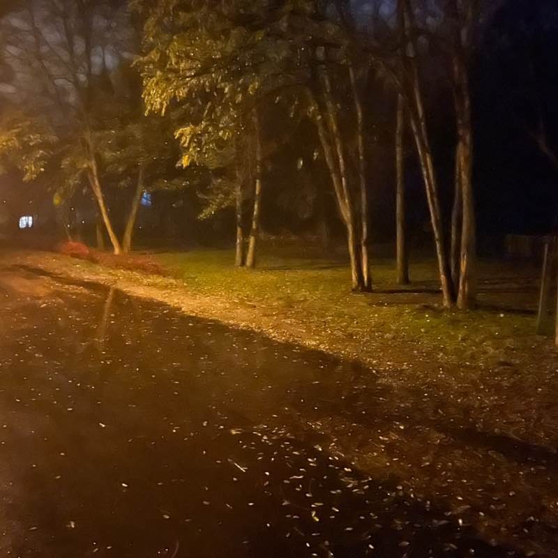 Milos Jendral post 1