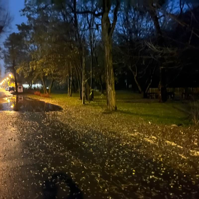 Milos Jendral post 1